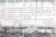 关于嘉荫县自然资源局局长肖寒违法收取东湖村耕地林地费问题的情况反映